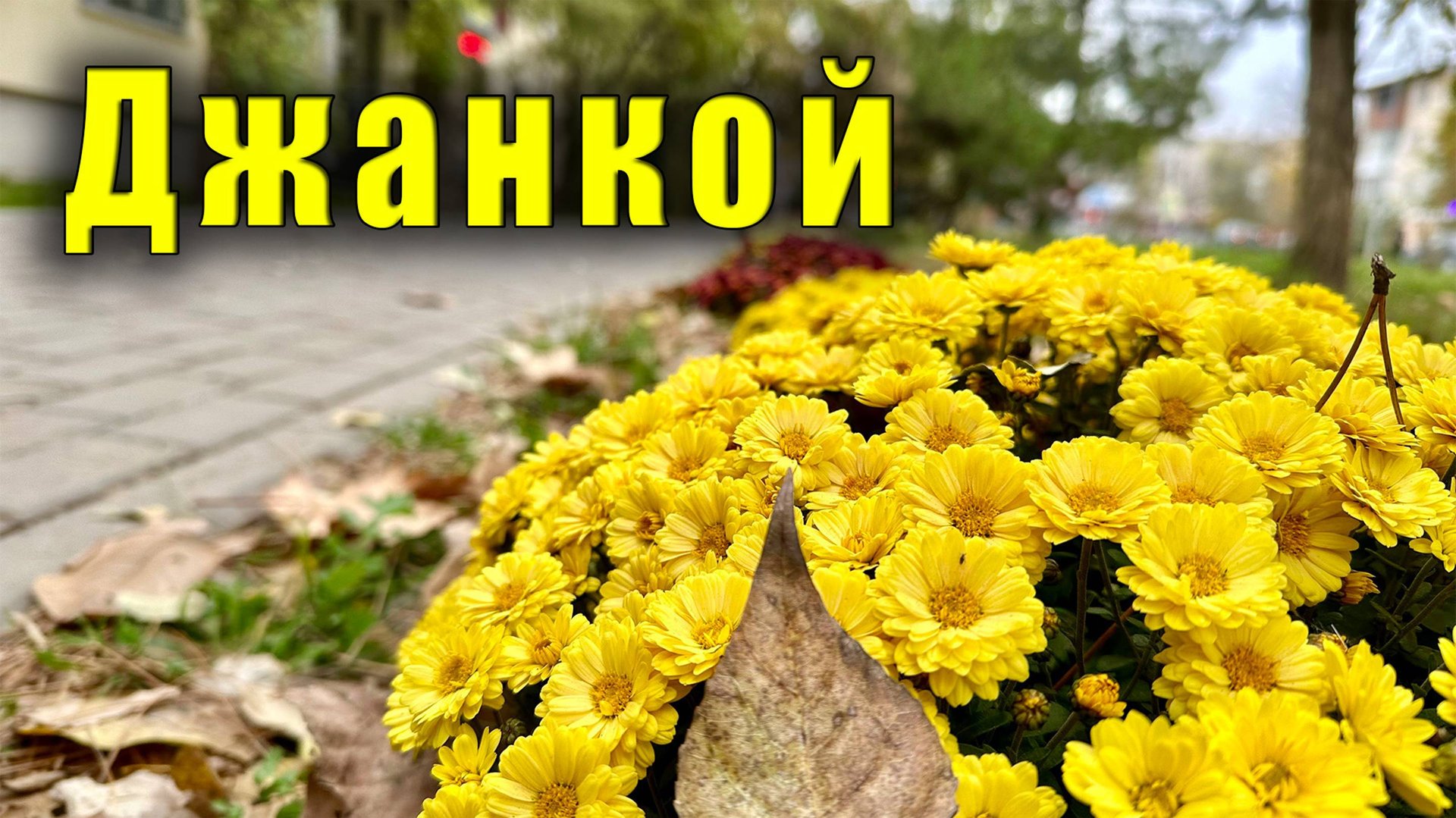 В Крыму похолодало. Осенний Джанкой и джанкойские чебуреки. Ой, а что это там плавает? смотреть онлайн