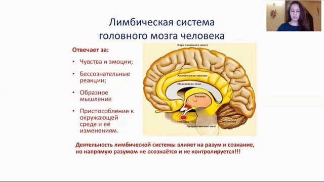 Теория о триединстве мозга😜 смотреть онлайн