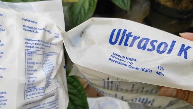 Perbedaan Pupuk KNO3 Putih Prill Dan KNO3 Putih KristalPAK TANI