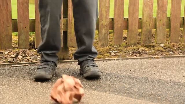 Wildlife Wonders - a short film made by children from Whixall смотреть онлайн