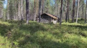 По озерам Мурманской области. Медведь на острове Петро. Гора Иванова. часть 4