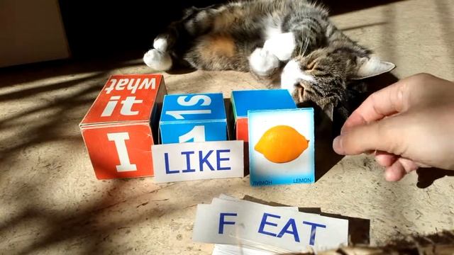 Английский с нуля. Построение предложений. смотреть онлайн