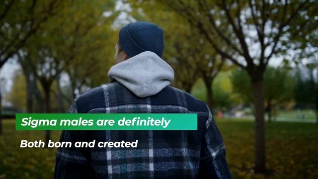 Is Sigma Male BORN or CREATED? смотреть онлайн