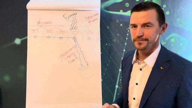 Проблемы в ДНК -следствие блокада! N8 смотреть онлайн