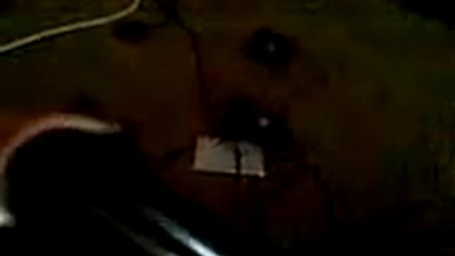 1000001976.mp4 смотреть онлайн