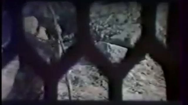 JAPBAKLAR TURKMEN KINO (arhiw)