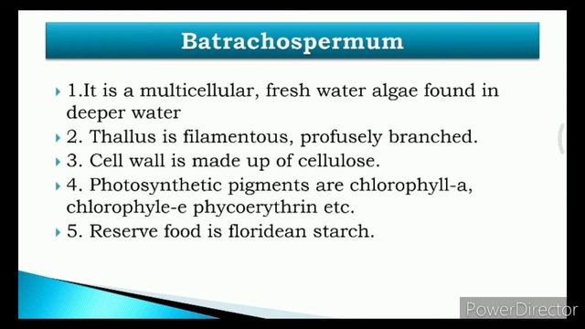 11 Biology Practical|1.Study of specimen and identification with reason|B study/observation-spottin смотреть онлайн