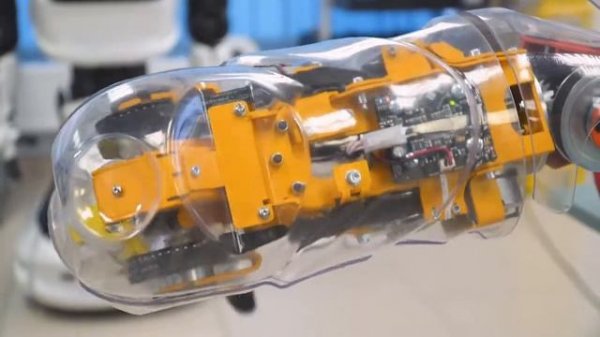 Promobot Robox & Rooky Demo