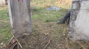 Stalker в реальной жизни