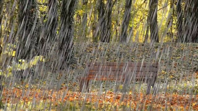 Мой листопад смотреть онлайн