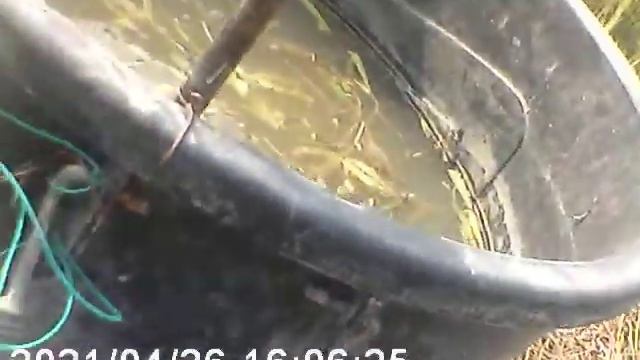 Плазма +110 Дикий реактор 2 смотреть онлайн