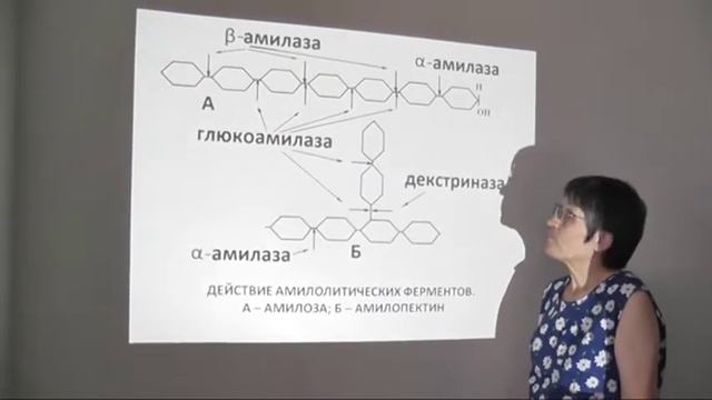 VTS 02 1 смотреть онлайн