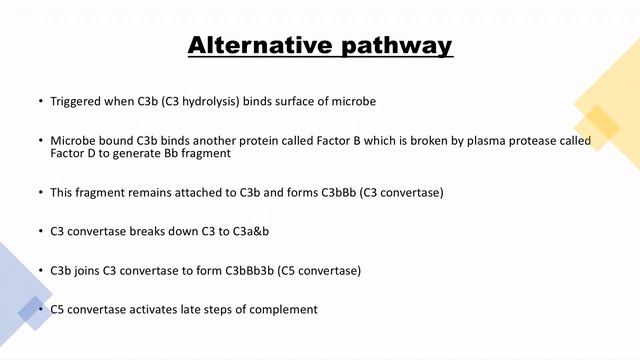 Innate Immunity Part 3 : USMLE Step 1 смотреть онлайн