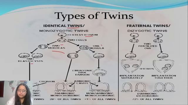 ANTHROPOLOGY OPTIONAL FOR UPSC-PEDIGREE ANALYSIS,TWIN SUDY,CYTOGENTICS METHOD смотреть онлайн