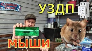 Ловим мышей, тестируем УЗДП.