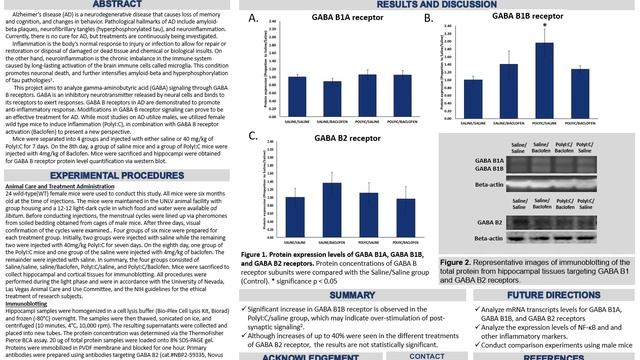 UNLV 2020 Fall Virtual Symposium: Examination of GABA B Receptor Levels смотреть онлайн