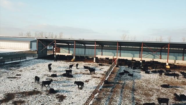 Строительство _Профистрой_ смотреть онлайн