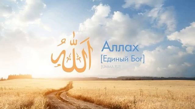 Амина Мохьмад 2021 Рицкъ смотреть онлайн