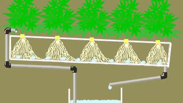 Питательный слой смотреть онлайн