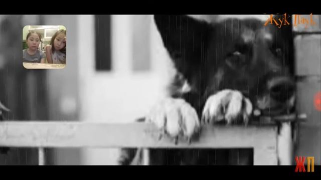 Попробуй не заплакать😭 челлендж (Карина love)😭 смотреть онлайн