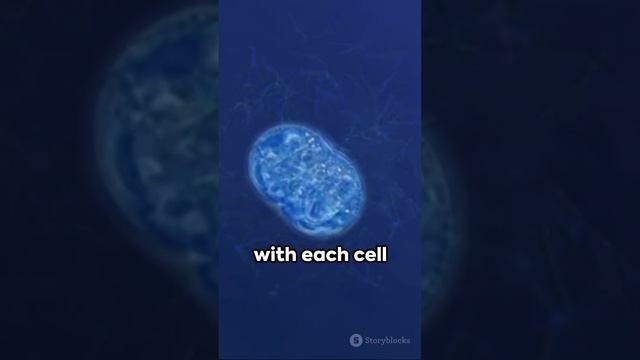 The difference between unicellular and multicellular смотреть онлайн
