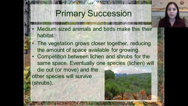 Ecological Succession Part 1: Primary succession смотреть онлайн