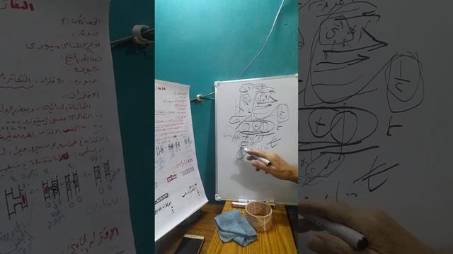 @ رؤى دقينش تعليمى الصف الثالث الثانوى علمى علوم احياء التكاثر الجنسى كيفية حدوثه فى الكاءنات الحي смотреть онлайн