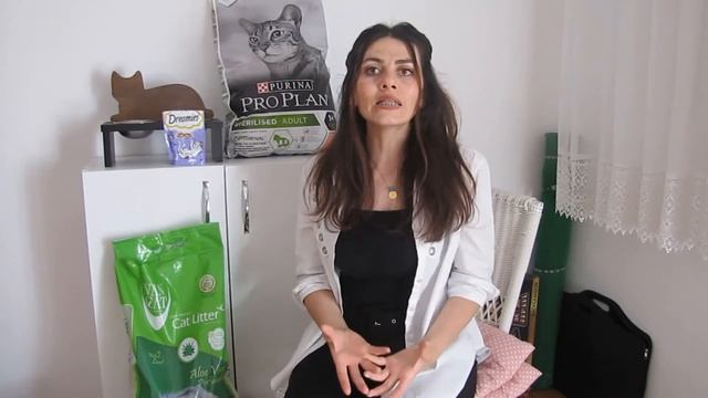Kedi Maması Önerisi ve Kedi Kumu Önerisi / Leo ne ile besleniyor..?/ Purina Proplan neden pahalı ? смотреть онлайн