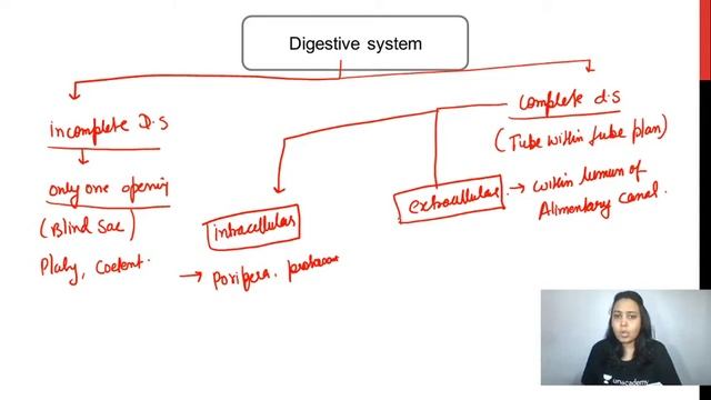 11:30 AM - Target NET/JRF 2021 | Life Sciences by Surbhi Singh | Animal Diversity смотреть онлайн