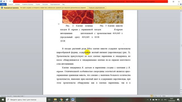 Биологические и биохимические особенности плодов растений рода Ribes L при интродукции в Белгородс смотреть онлайн