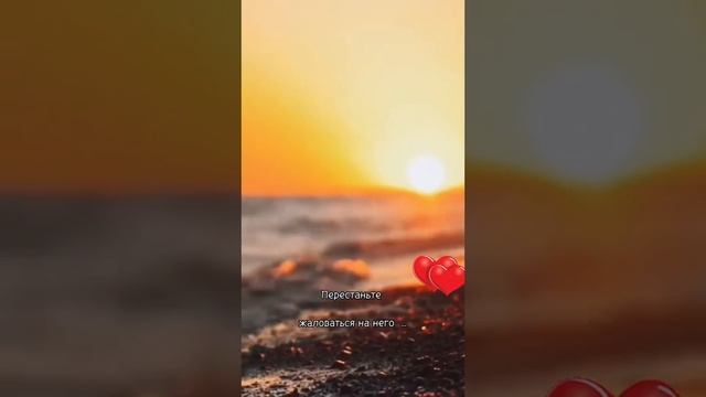 Женщины уважайте своих мужчин смотреть онлайн