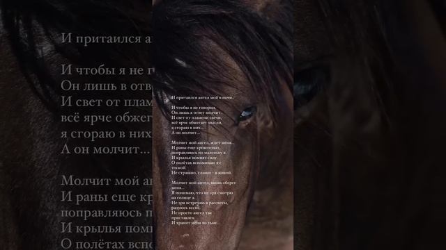 «Ангел» #стихи #поэзия #любовь #piano #цитаты #музыка #творчество #жизнь #стих смотреть онлайн