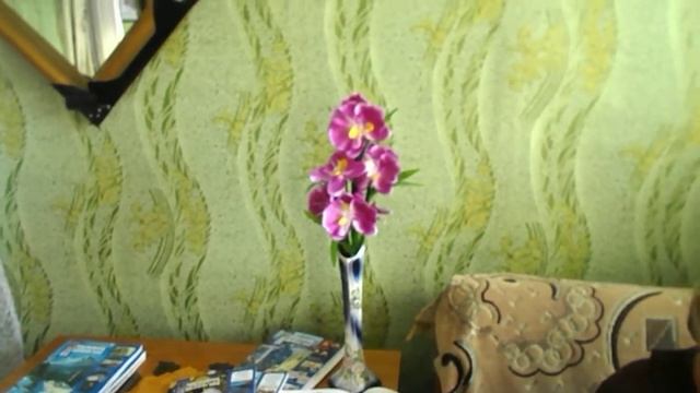 Читает Гужева Светлана смотреть онлайн