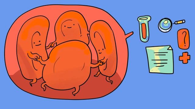 Навіщо потрібні еритроцити і скільки їх повинно бути в нормі смотреть онлайн