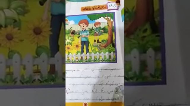 Grade 3 urdu (187) lecture 3 смотреть онлайн