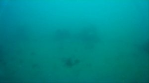 Съёмка дна Японского моря на глубинах более 10 метров