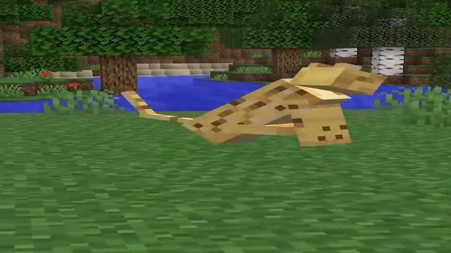 Новый поворот