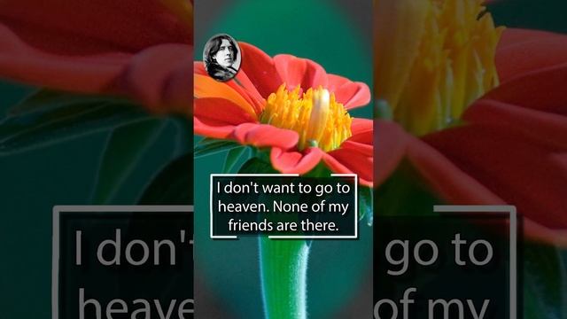 Oscar Wilde. Women are meant to be loved, not to be understood. смотреть онлайн