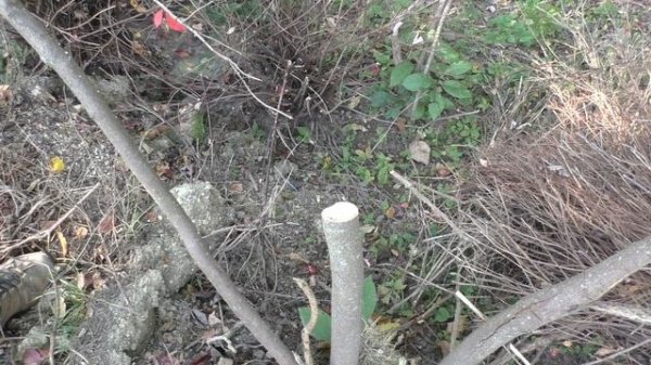 Victorinox Outdoor Master Mic Large Field Test