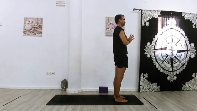 YOGA 21. Clase. Vinyasa. Core. смотреть онлайн