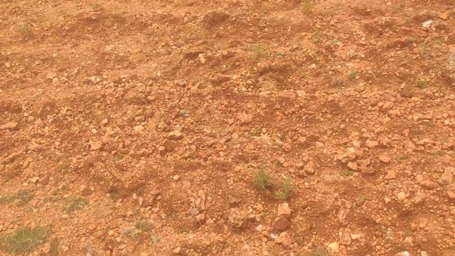 Land for sale. 7 acre 22 lacks Hiriyur Nh4 from 17 k.m Ph.9731251152 смотреть онлайн