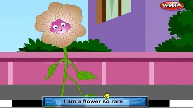 Top 10 Flower Rhymes For Kids | Flower Rhymes Collection | Most Popular Best Flower Rhymes 1 смотреть онлайн