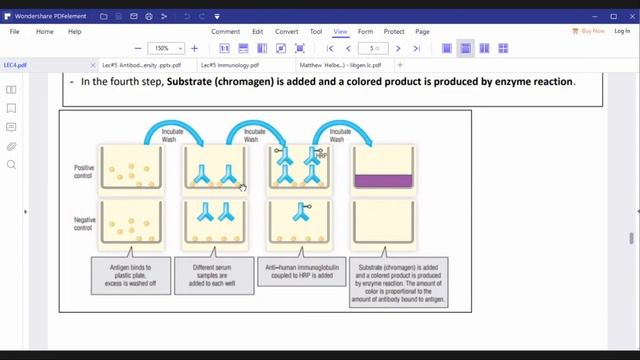 Immunology - ELISA test - - DR Emad Alzoubi смотреть онлайн