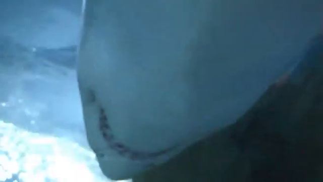 Акварелакс или рыботерапия смотреть онлайн