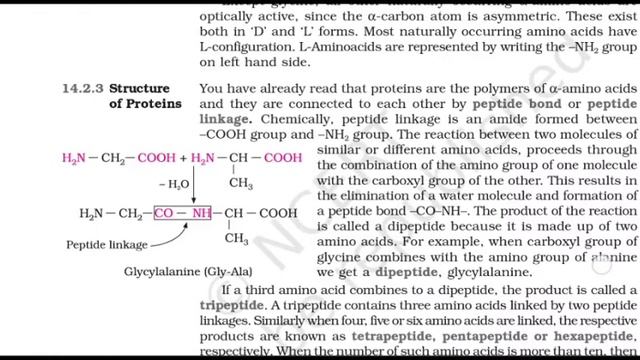 NCERT PODCAST | CLASS 12 | CHEMISTRY | CHAPTER 14 | BIOMOLECULES смотреть онлайн