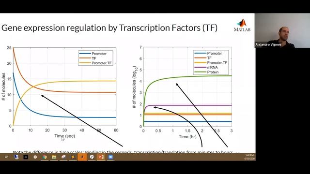 Week #2A: Modeling Part 2/3 - Introduction to Hill Functions - iGEM 2020 Measurement Webinars смотреть онлайн