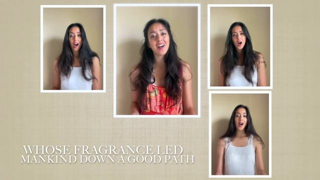 The Rose of Paradise смотреть онлайн