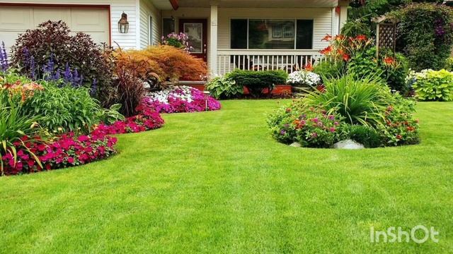 "Английский газон" Рассказ, читает автор смотреть онлайн