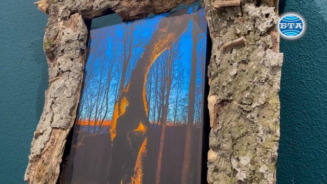 Изложбите „Един живот“ и „Отблизо“ представят двете страни на една фотоизповед смотреть онлайн