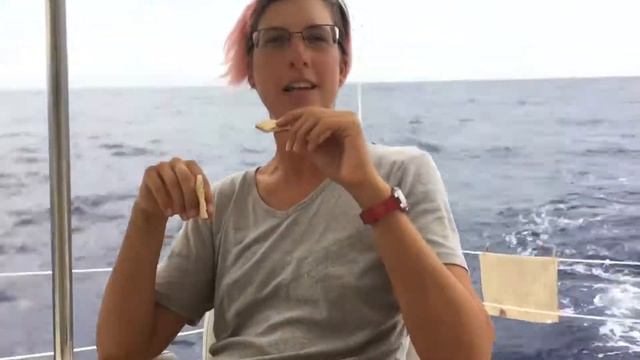 Bahamas to Jamaica Crossing Pt 1 смотреть онлайн